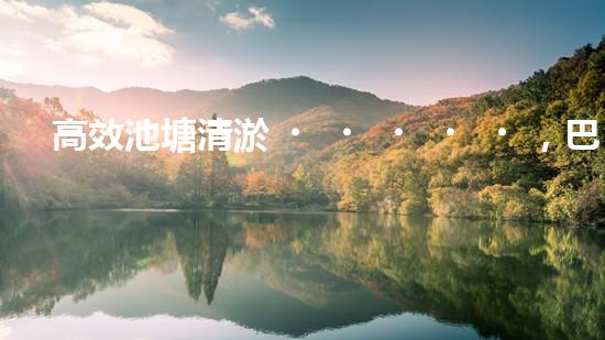 高效池塘清淤，巴洛仕設(shè)備助您一臂之力